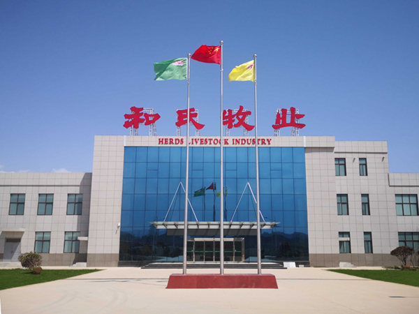 J9���Ź���(�й�)-�ٷ���վ