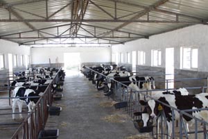 J9���Ź���(�й�)-�ٷ���վ