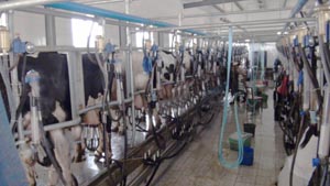 J9���Ź���(�й�)-�ٷ���վ