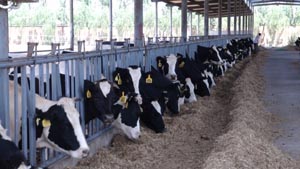 J9���Ź���(�й�)-�ٷ���վ