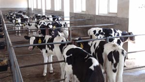 J9���Ź���(�й�)-�ٷ���վ